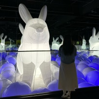  헤일로 Lifelog : 네이버 블로그