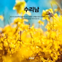  수리남 공식 블로그 : 네이버 블로그