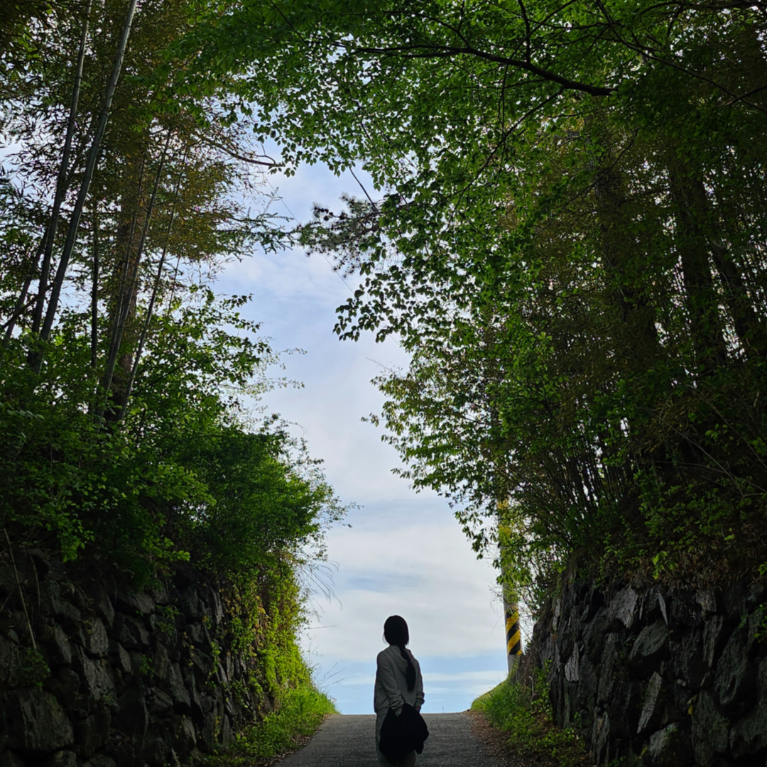 인플루언서 프로필