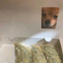 프로파일