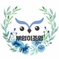 부엉이조명
