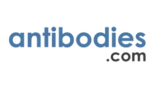 NaverBlog profile picture for @antibodies