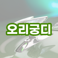 오리궁디