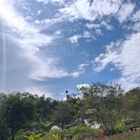 금사빠