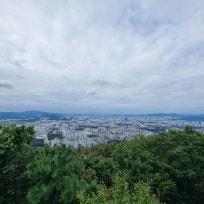 금길인생