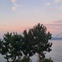 프로필