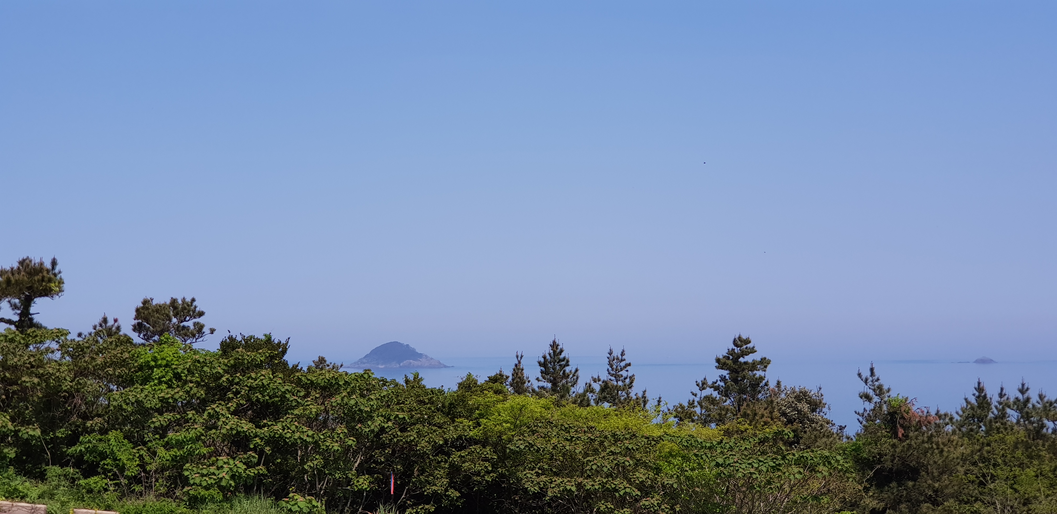 NaverBlog profile picture for @gemini