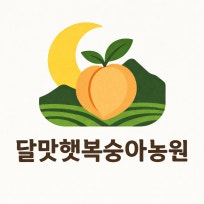 링크 미리보기