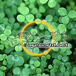 NaverBlog profile picture for @areas