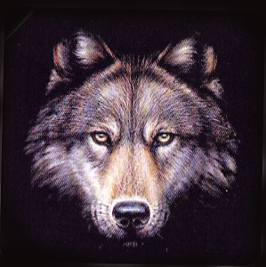 NaverBlog profile picture for @johnlang
